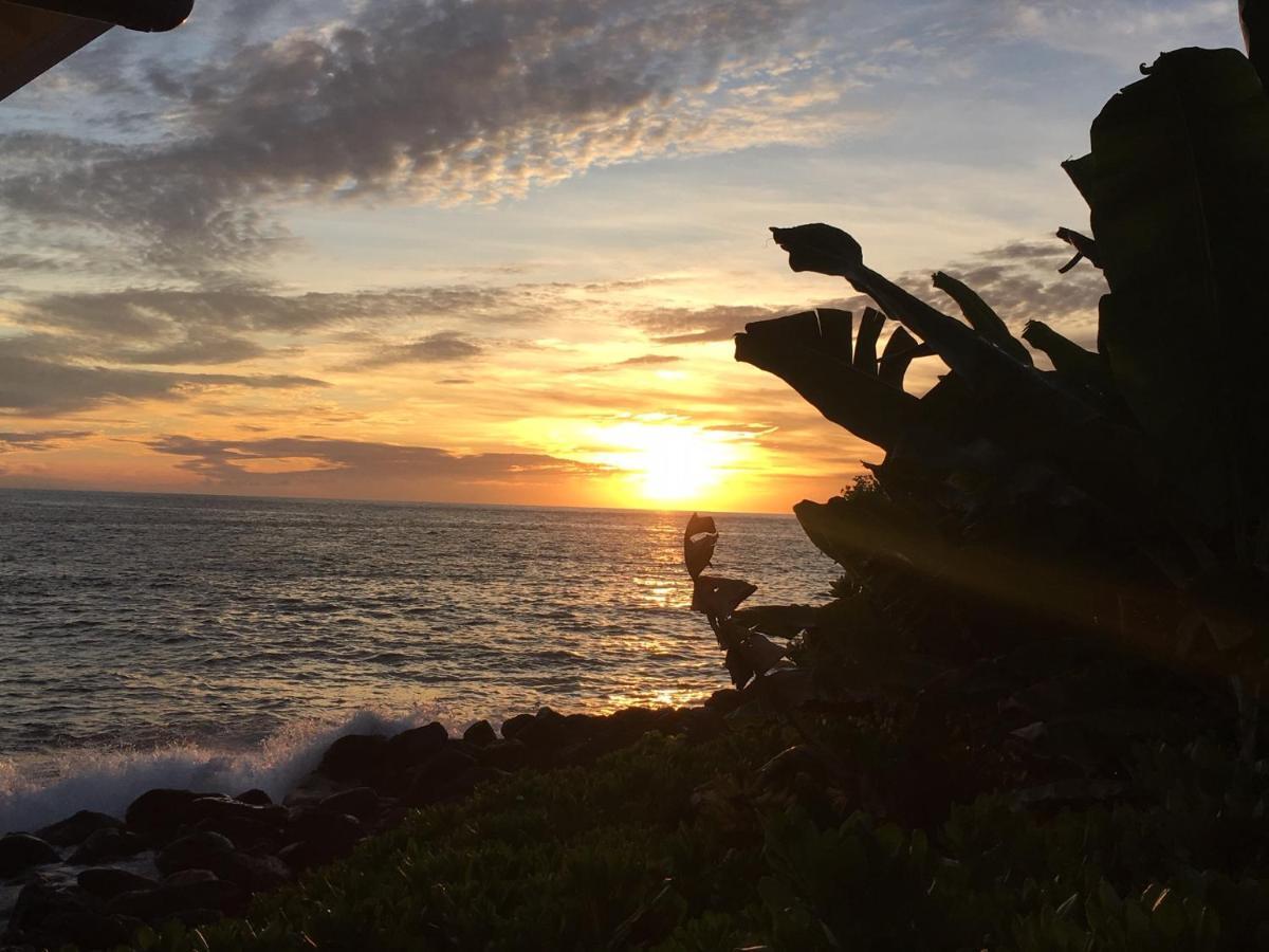 Da Kona West 305 Apartment Kailua-Kona Ngoại thất bức ảnh